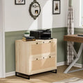 Wood Rattan 2-Drawer Lateral File Cabinet with Lock for Home Office