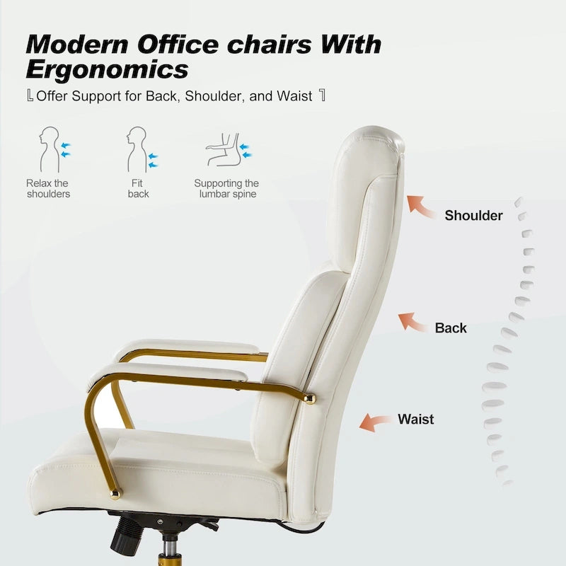 Ergonomic Office Chair with Airbag Lumbar Support