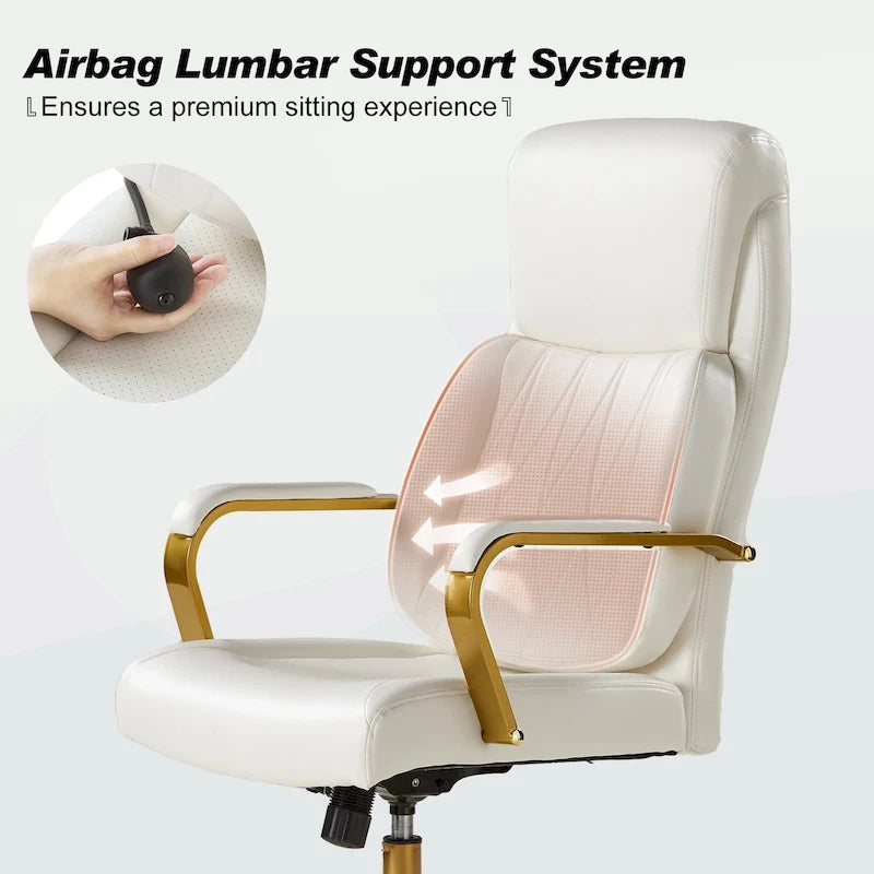 Ergonomic Office Chair with Airbag Lumbar Support